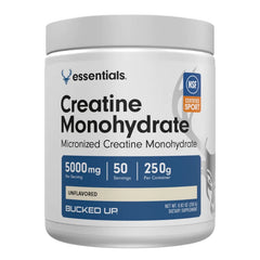 Collection image for: Creatine