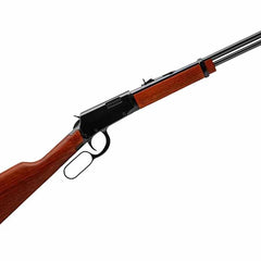 Collection image for: Rossi Rimfire Firearms